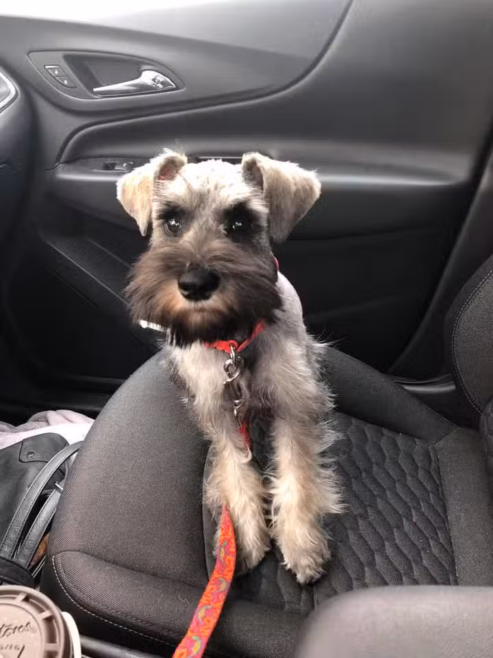 Jay’s Moondoggie Spa - New Columbia, PA