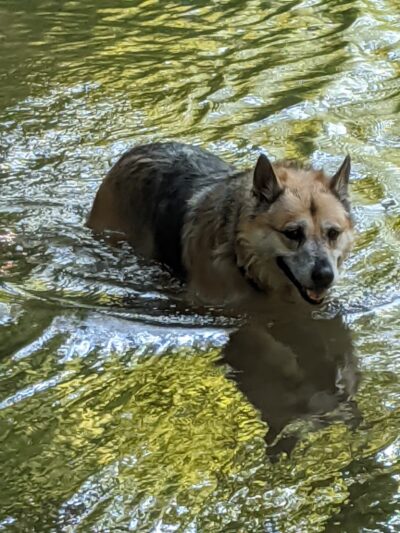 Beacon Hill Park - New Cumberland, PA