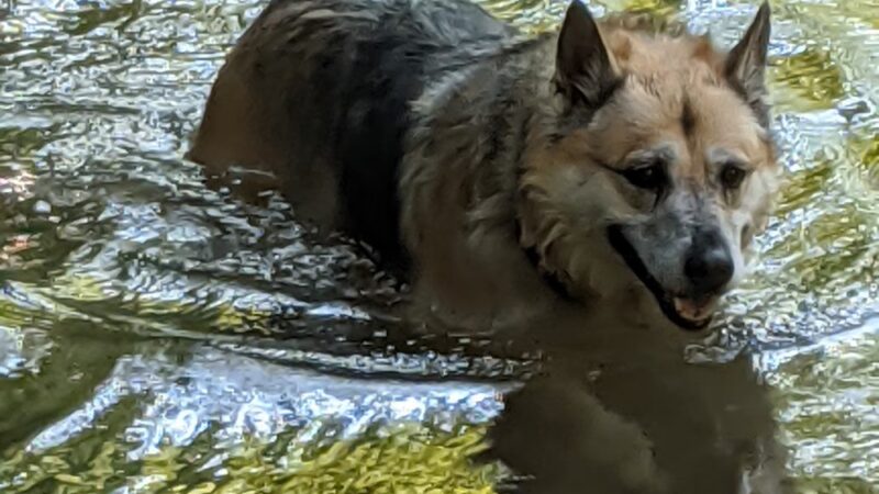 Beacon Hill Park - New Cumberland, PA