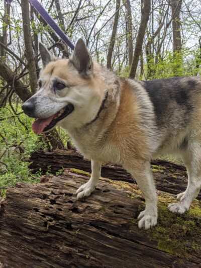 Beacon Hill Park - New Cumberland, PA