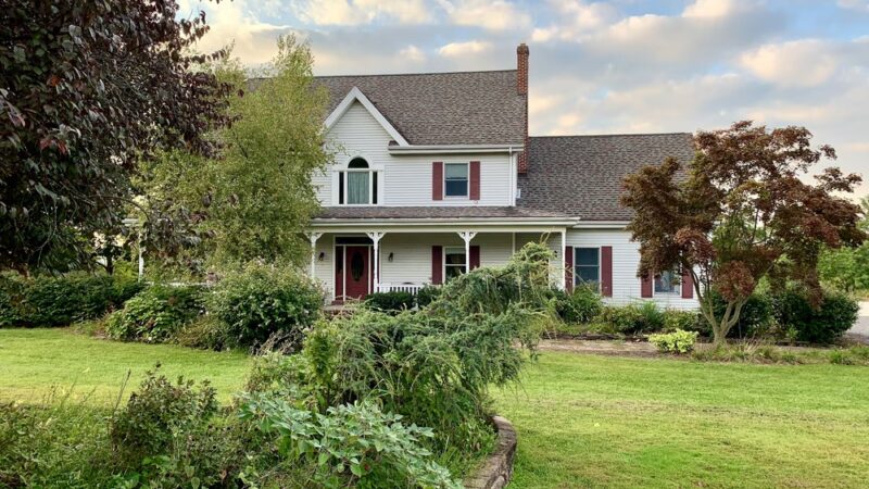 Tina's Dog House LLC - New Cumberland, PA