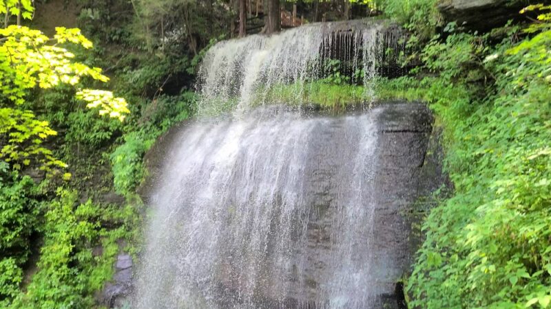 Buttermilk Falls Park - New Florence, PA