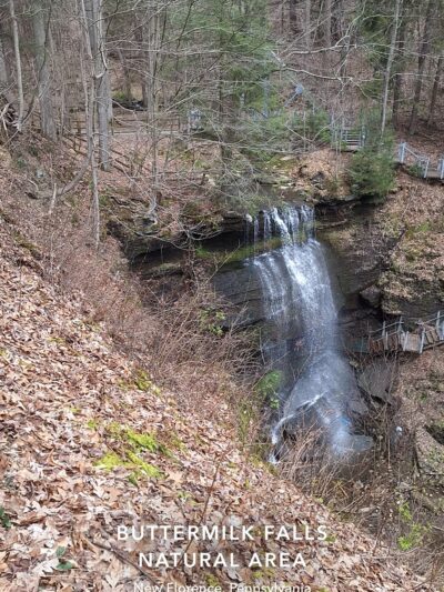 Buttermilk Falls Park - New Florence, PA