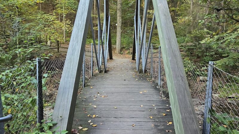 Buttermilk Falls Park - New Florence, PA