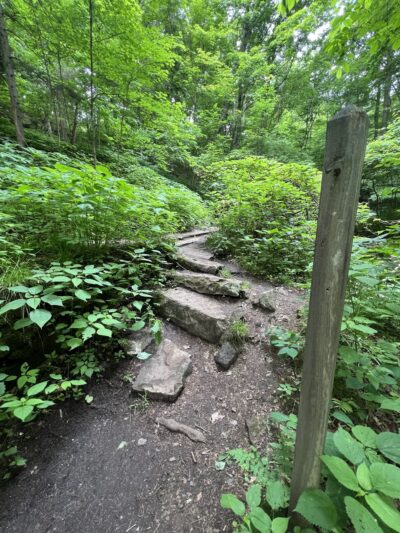 Buttermilk Falls Park - New Florence, PA