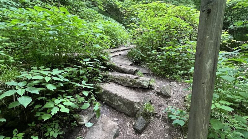 Buttermilk Falls Park - New Florence, PA