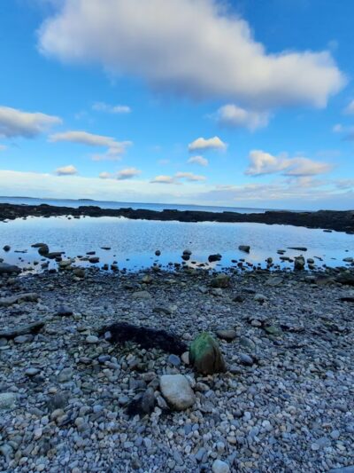 Rachel Carson Salt Pond Preserve - New Harbor, ME