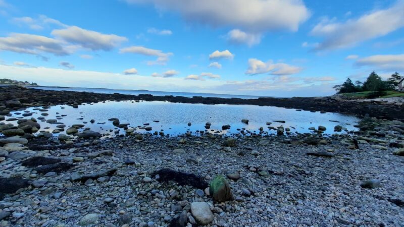 Rachel Carson Salt Pond Preserve - New Harbor, ME