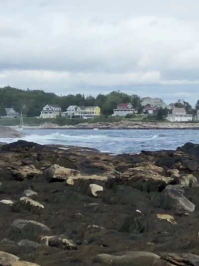 Rachel Carson Salt Pond Preserve - New Harbor, ME
