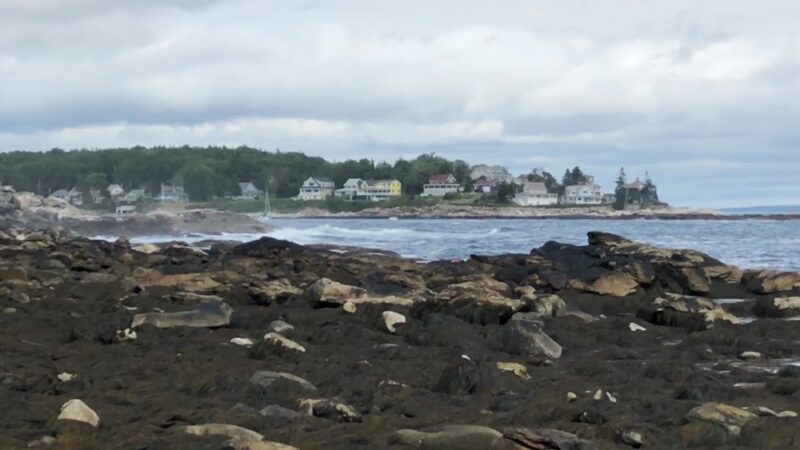 Rachel Carson Salt Pond Preserve - New Harbor, ME