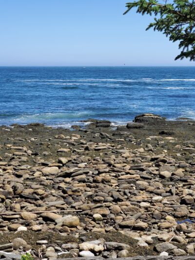 Rachel Carson Salt Pond Preserve - New Harbor, ME