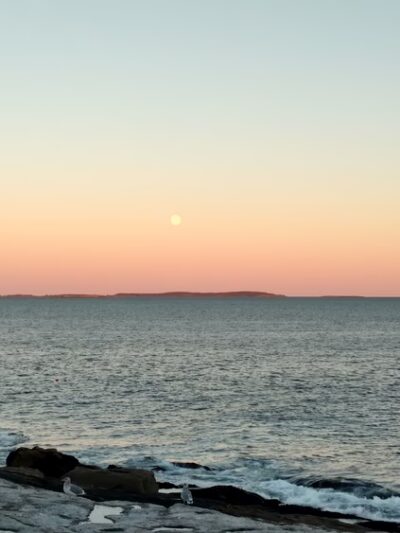 Rachel Carson Salt Pond Preserve - New Harbor, ME