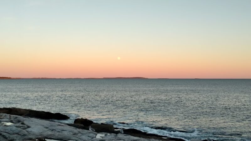 Rachel Carson Salt Pond Preserve - New Harbor, ME