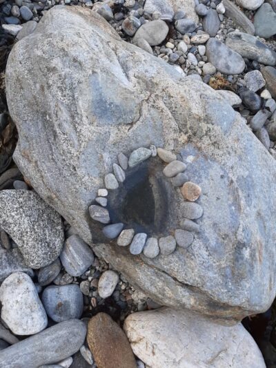 Rachel Carson Salt Pond Preserve - New Harbor, ME