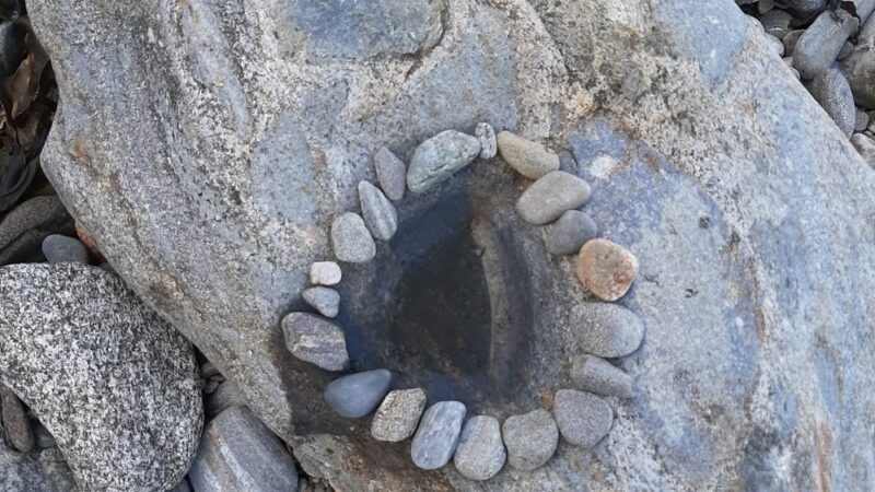 Rachel Carson Salt Pond Preserve - New Harbor, ME