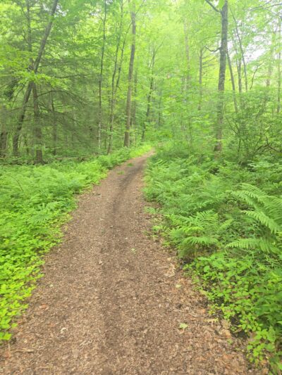 Brodie Park - New Hartford, CT