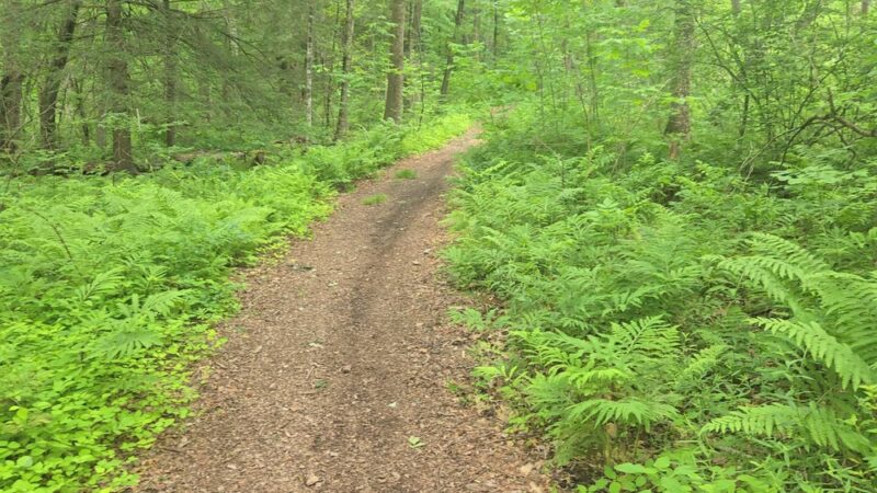 Brodie Park - New Hartford, CT