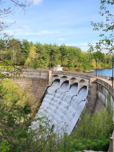 Nepaug State Forest - New Hartford, CT