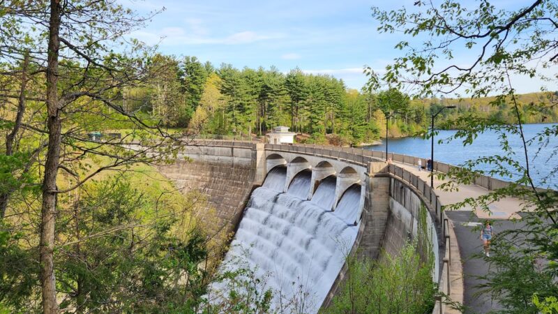 Nepaug State Forest - New Hartford, CT