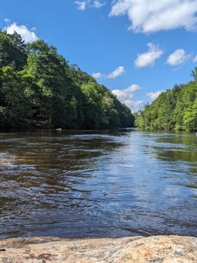 Nepaug State Forest - New Hartford, CT