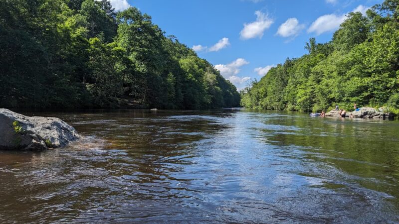 Nepaug State Forest - New Hartford, CT