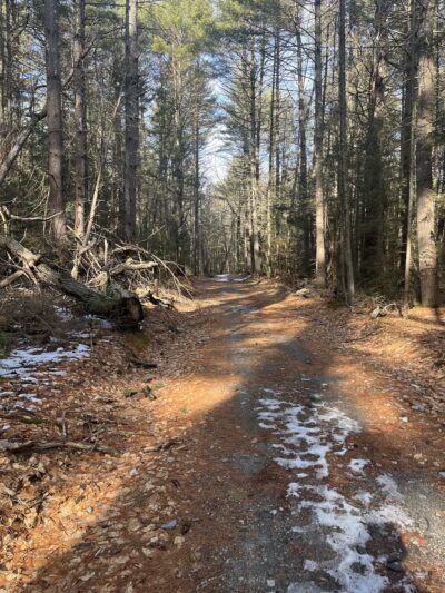 Nepaug State Forest Parking - New Hartford, CT