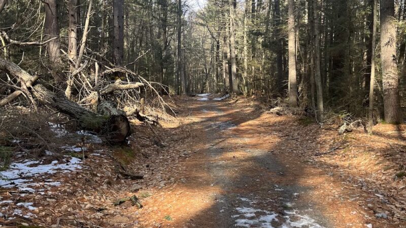 Nepaug State Forest Parking - New Hartford, CT