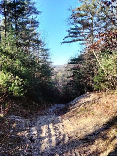 Nepaug State Forest Parking - New Hartford, CT