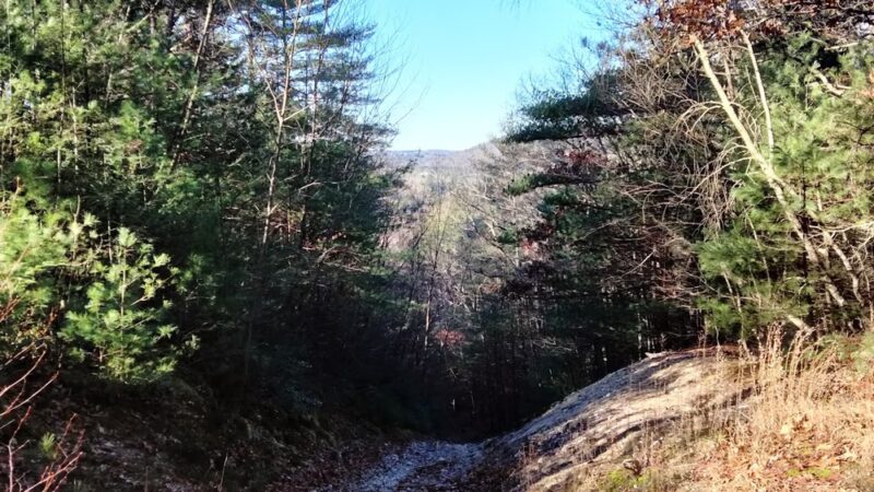 Nepaug State Forest Parking - New Hartford, CT