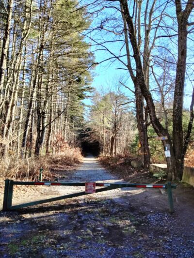 Nepaug State Forest Parking - New Hartford, CT