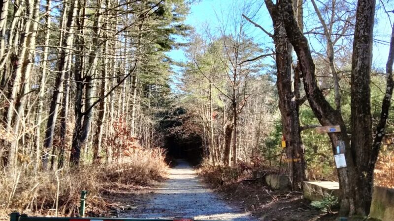 Nepaug State Forest Parking - New Hartford, CT