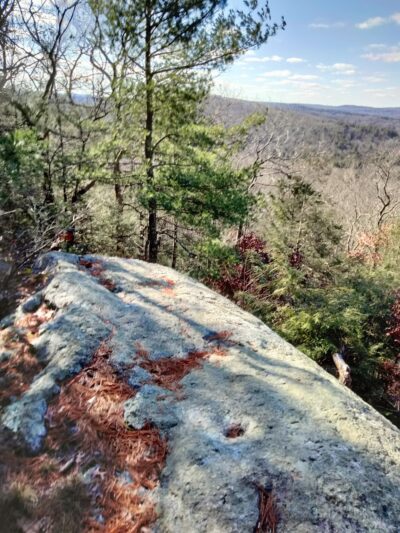Nepaug State Forest Parking - New Hartford, CT