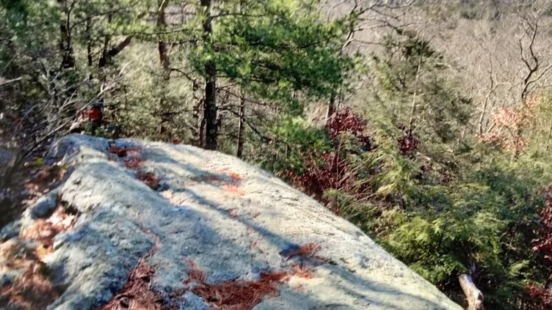 Nepaug State Forest Parking - New Hartford, CT