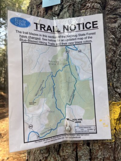 Nepaug State Forest Parking - New Hartford, CT