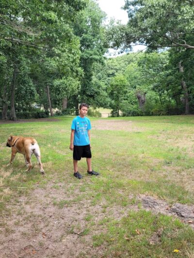 Dog Park - New Haven, CT