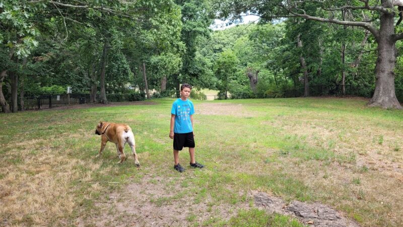 Dog Park - New Haven, CT