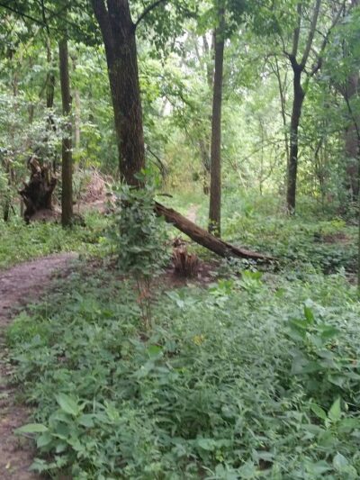 Heatherwood Park - New Haven, IN