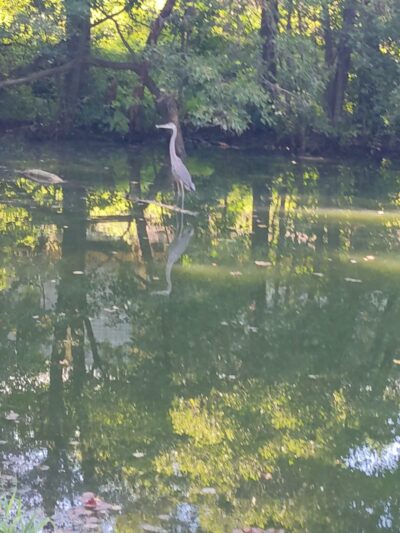Moser Park - New Haven, IN