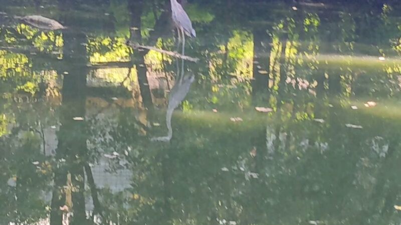 Moser Park - New Haven, IN