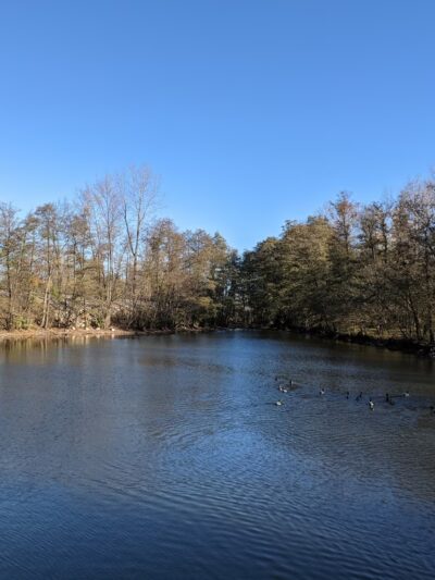 Moser Park - New Haven, IN