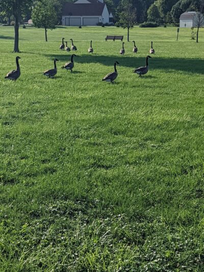 Werling Park - New Haven, IN