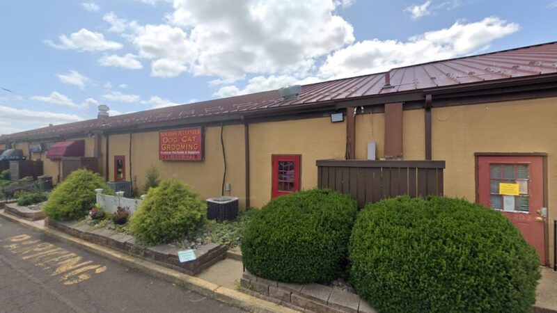 A Place 4 Pups - New Hope, PA