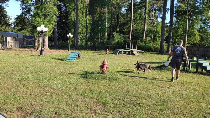 Scentral Park - New Llano Dog Park - New Llano, LA