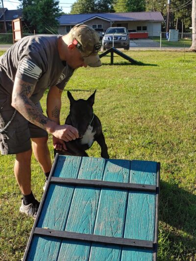 Scentral Park - New Llano Dog Park - New Llano, LA