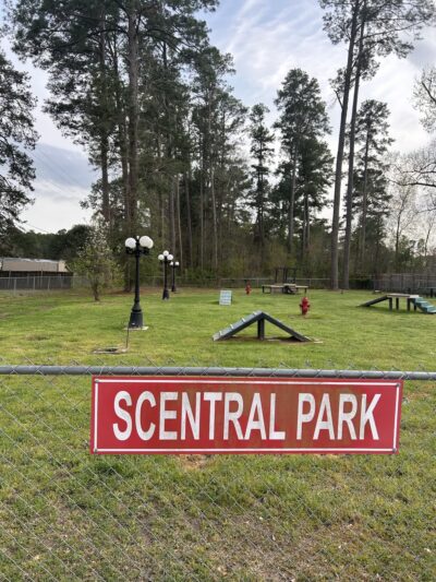 Scentral Park - New Llano Dog Park - New Llano, LA