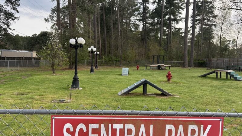 Scentral Park - New Llano Dog Park - New Llano, LA