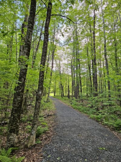 Clark Lookout - New London, NH