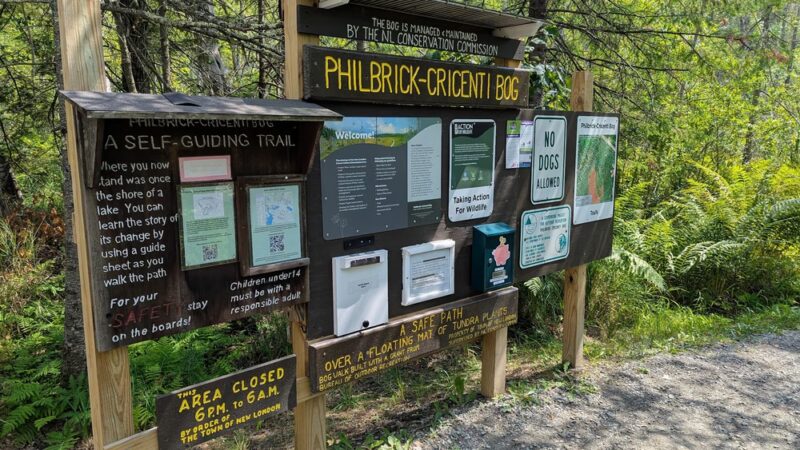 Philbrick-Cricenti Bog - New London, NH