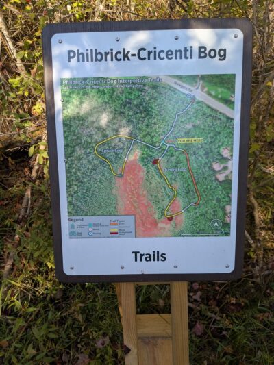 Philbrick-Cricenti Bog - New London, NH