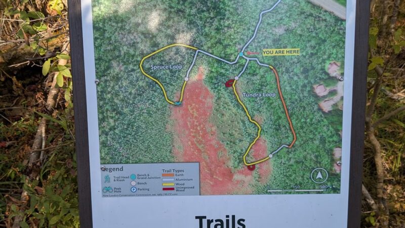 Philbrick-Cricenti Bog - New London, NH